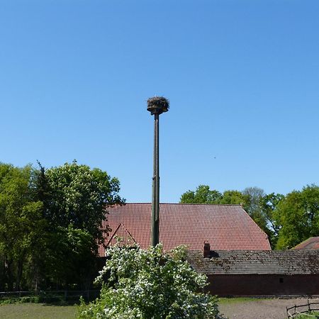Zur Amsel Daire Damnatz Dış mekan fotoğraf